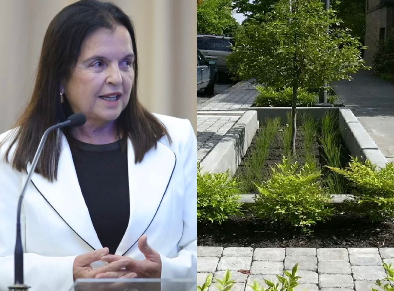 Deputada Fátima Canuto propõe criação de Jardins de Chuva em Alagoas